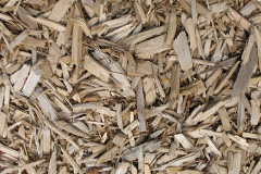 biomass boilers Monwode Lea